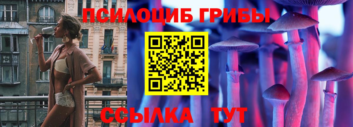 Псилоцибиновые грибы Cubensis Нарткала