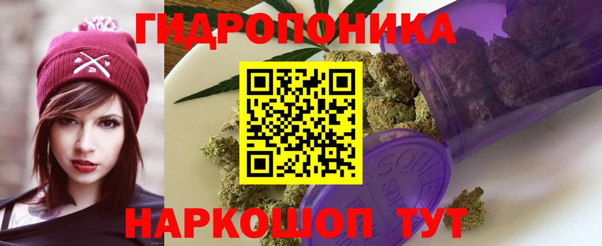 Марихуана гибрид Нарткала